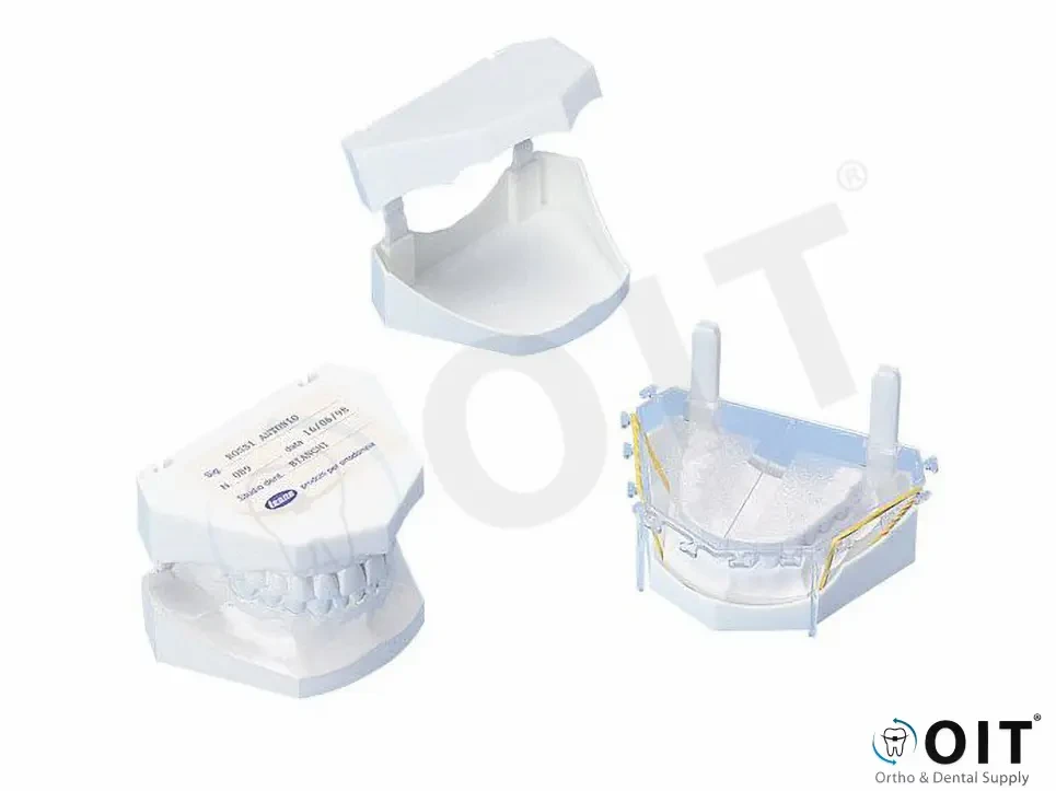 Leone plastic model bases T3061-00 100 stuks, upper+lower
